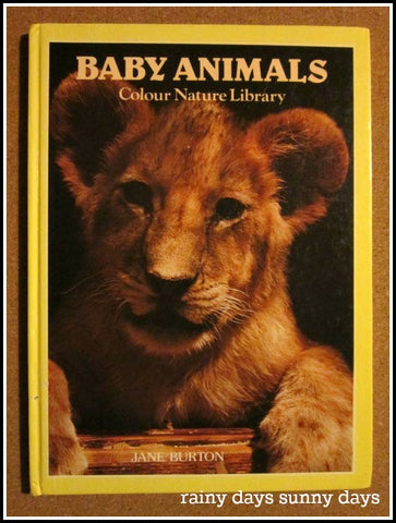 Baby Animals